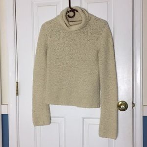 Wool J Crew Turtleneck